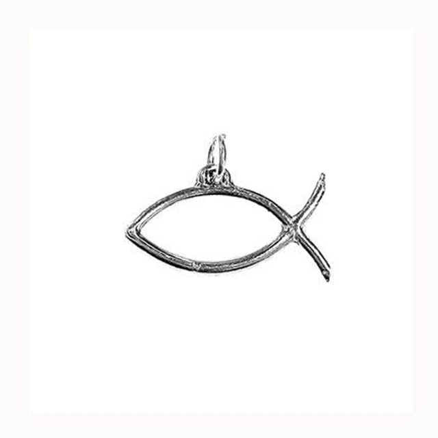 Cura-Mi 2025 capsula ICHTHYS