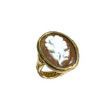 Shell cameo rings